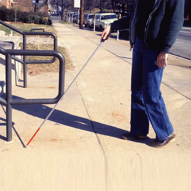 Visually Impaired People Day