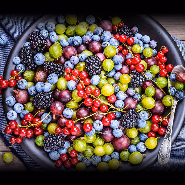 Wild Foods Day