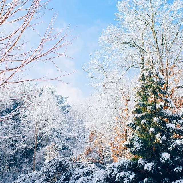 Winter Solstice