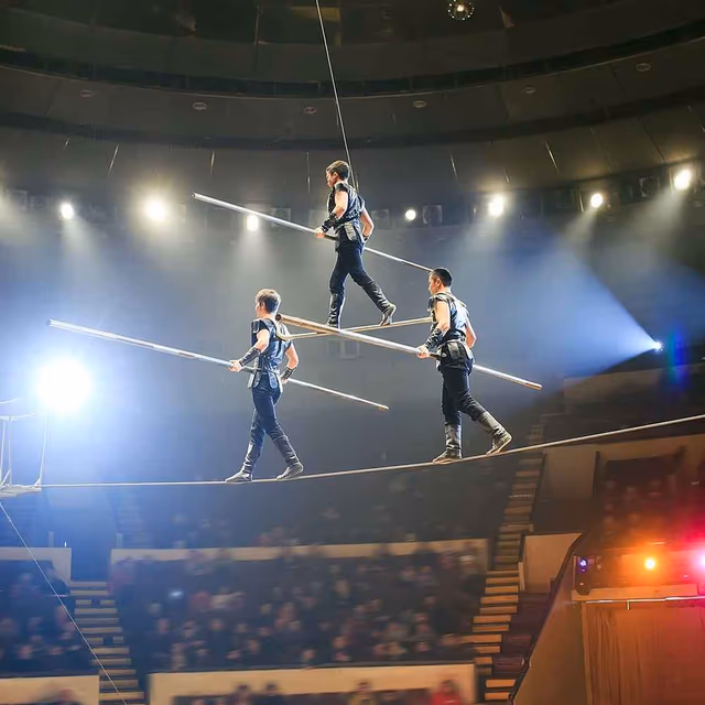 World Circus Day