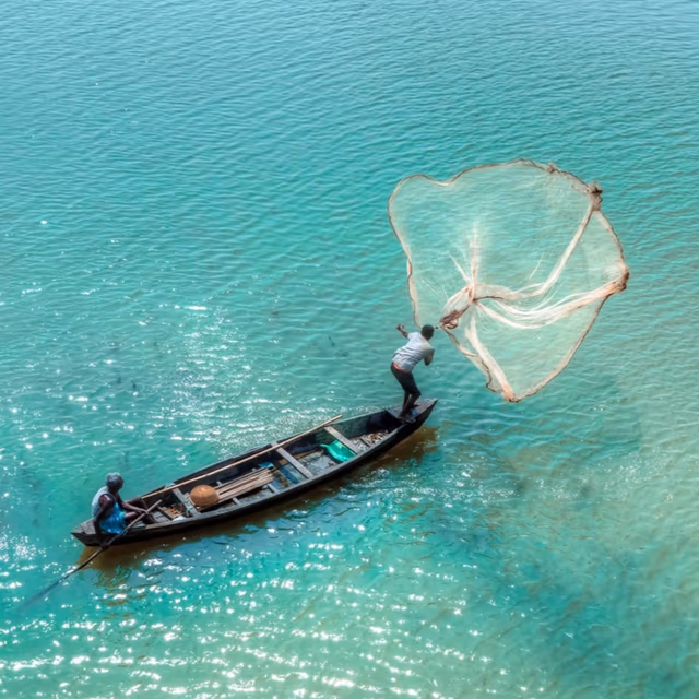 World Fisheries Day