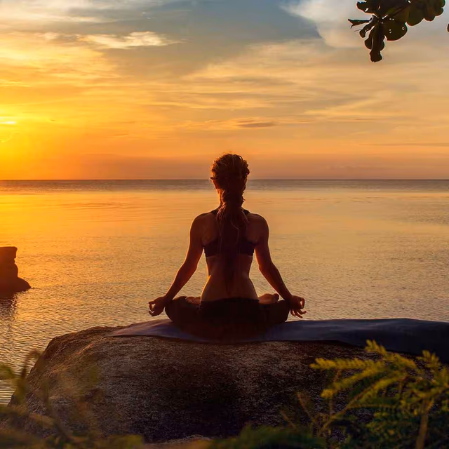 World Meditation Day
