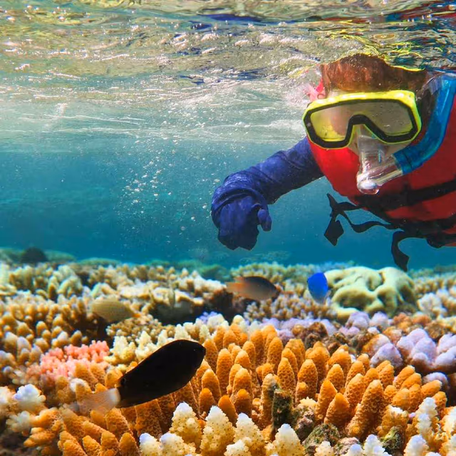 World Reef Awareness Day