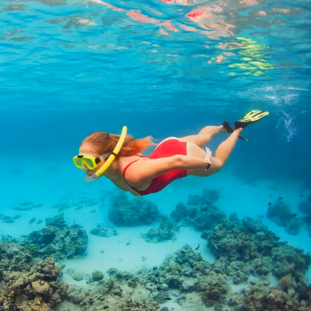 World Snorkeling Day