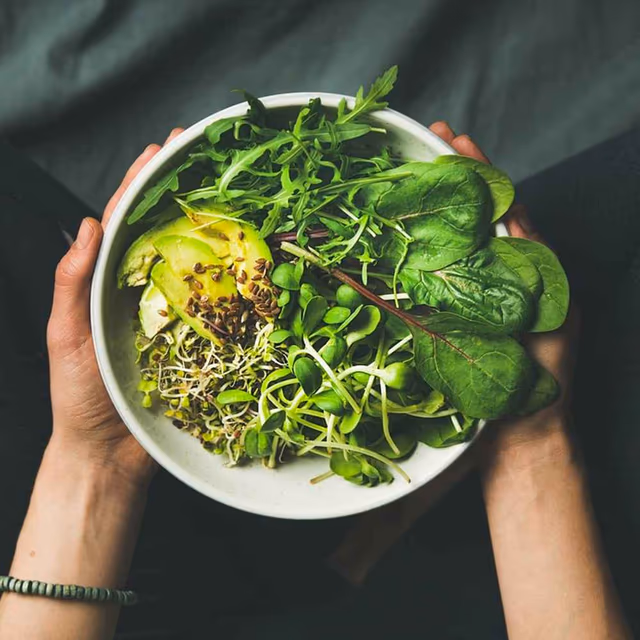 World Vegan Day